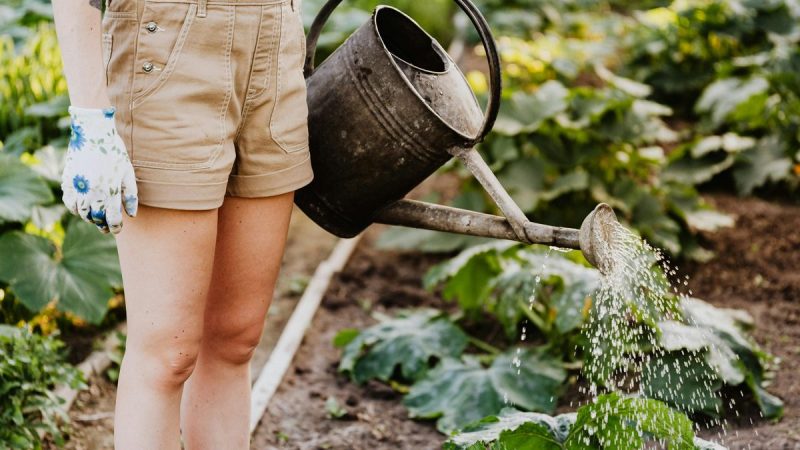 How to Grow Herbs Indoors Year-Round (Even if You’ve Killed Them Before)
